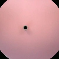18654-Light_Bluish_Gray project thumbnail