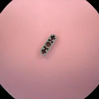 6632-Light_Bluish_Gray project thumbnail