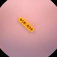32449 project thumbnail