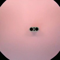 43857-Light_Bluish_Gray project thumbnail