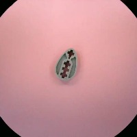 6575-Light_Bluish_Gray project thumbnail