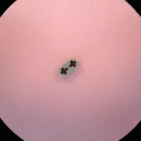 41677-Light_Bluish_Gray project thumbnail