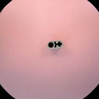 60483-Light_Bluish_Gray project thumbnail