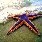 Starfish Classification project thumbnail