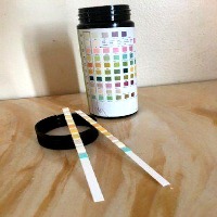 smart-urine-project project thumbnail