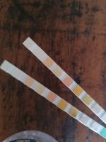 urine strip detection project thumbnail