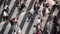 Pedestrian project thumbnail