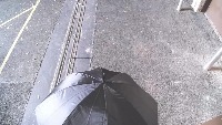 PersonHeadv5 project thumbnail