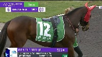HorseFitness project thumbnail