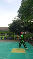 silat2 project thumbnail