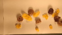 cereal project thumbnail