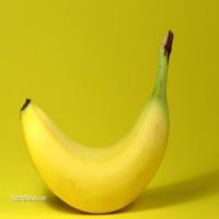 B6631321_Fruit_Project project thumbnail