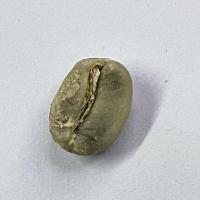 coffee-quality-classifier project thumbnail