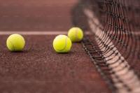 tennis ball project thumbnail