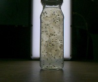 kim loai hat chia project thumbnail