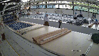 person-in-cutting-5 project thumbnail