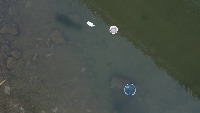 water pollution project thumbnail