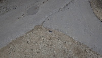 Landing_Pad_Det project thumbnail
