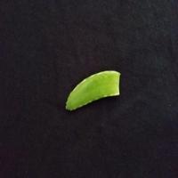 medicinal_leaf project thumbnail