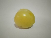 Tomato sorter project thumbnail