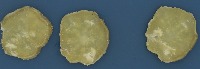 2433 project thumbnail