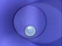 waste project thumbnail