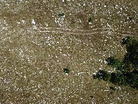 Mixed Dataset - Aerial Person project thumbnail