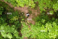 drone aerial project thumbnail