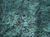 pruebaxxx project thumbnail