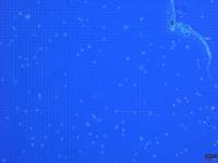nb-chamber-grid project thumbnail