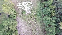 Tower and Trees project thumbnail