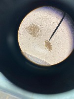 Eggs project thumbnail