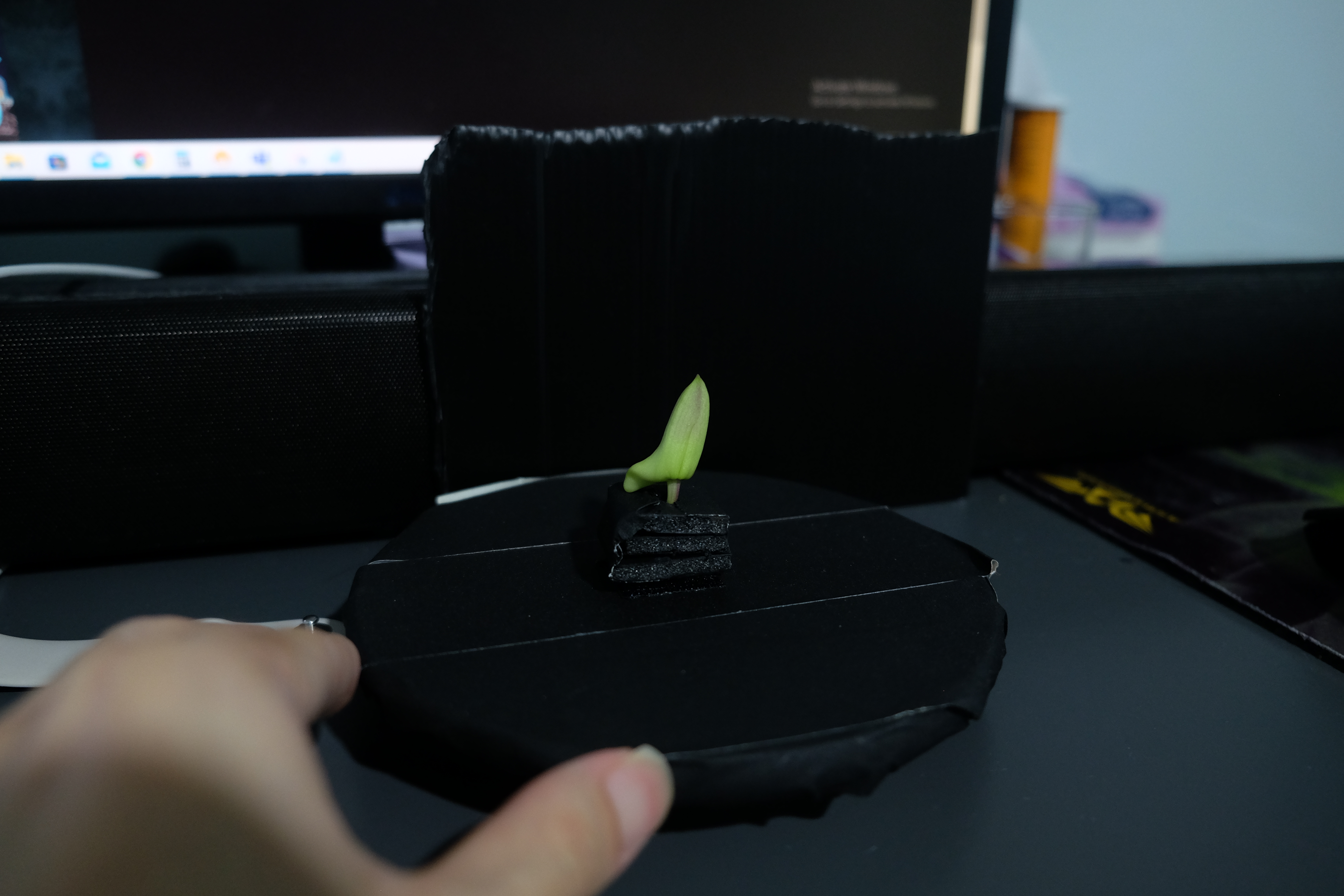 orchid2 Object Detection Model by Capstone