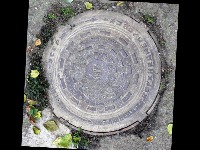rf_for_well1_dpoubule project thumbnail