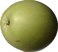 Dataset Image