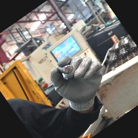 Dataset Image