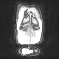 HL019_191204 project thumbnail