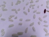 faq common (raw rice tkm 15) project thumbnail