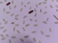 faq-grade-a-raw-rice project thumbnail