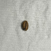 coffee-bean-detection project thumbnail