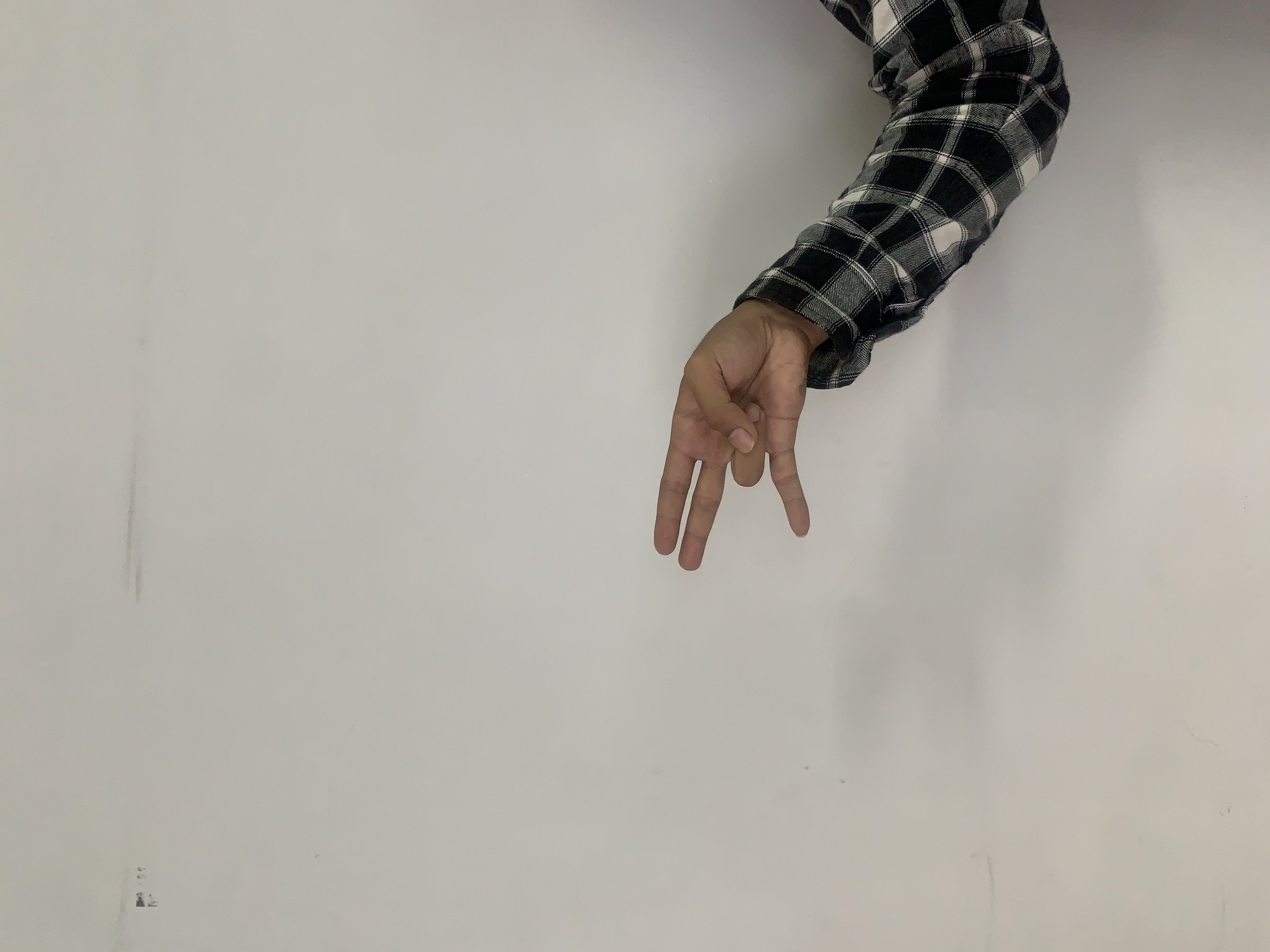 Mandarin Sign Language (MSL) Classification Model by Image Processing