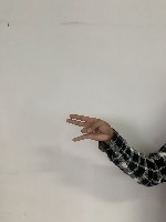 Mandarin Sign Language (MSL) project thumbnail