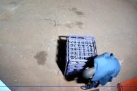 crate detection project thumbnail