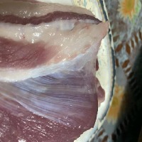 meat freshness project thumbnail