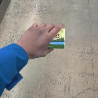 Dataset Image