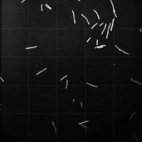 cell_easy project thumbnail