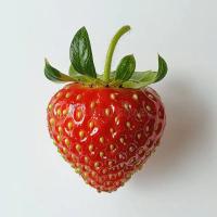 Fruit Monitoring System project thumbnail