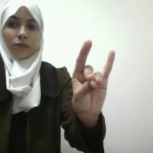 Arabic sign language translator Object Detection Model by Arabic sign ...