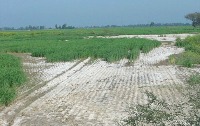 Sand project thumbnail