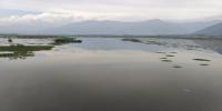 Dallake Annotations project thumbnail
